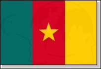 Pays situ en Afrique centrale, sa superficie est de 475 440 km. Le nom de son prsident est Son Excellence Mr. Paul Biya. Quel est le nom de sa capitale ?