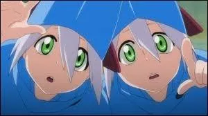 Le zanpakuto Sogyo no Kotowari appartient  :