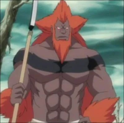 Le zanpakuto Hzukimaru appartient  :