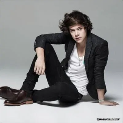 Comment se nomme l'ex petite amie de Harry ?