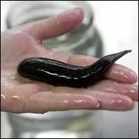 Elle nous fait une prise de sang sans ordonnance. Mais quel est son nom ? In English of course.