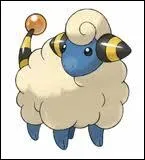 Quelle est l'volution de Wattouat ?