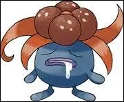 Quelle est l'volution de Ortide ?