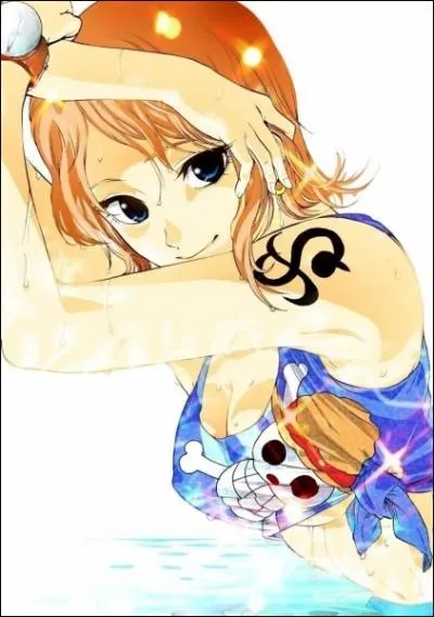 Comment s'appelle la navigatrice de l'quipage du Chapeau de Paille ?