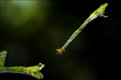 Incroyable, la dtente verticale de ...