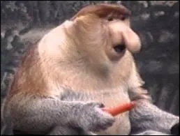 En 1977, il ralise le film Vous n'aurez pas l'Alsace et la Lorraine, dans lequel il campe le rle principal :