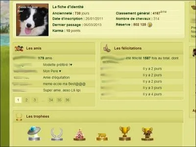 Y a-t-il un nombre d'amis limit ?