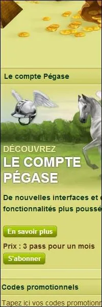 Quel avantage le compte pgase permet-il de faire de diffrent sur la fiche ?