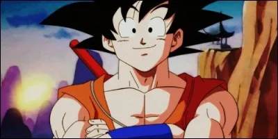 Qui est le mari de Chichi ?