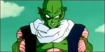 Comment s'appelle ce Namek ?