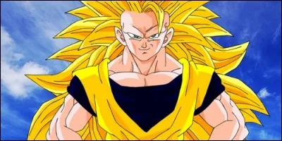 Goku est sous sa forme :