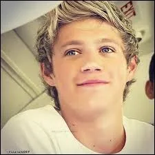 Niall est :