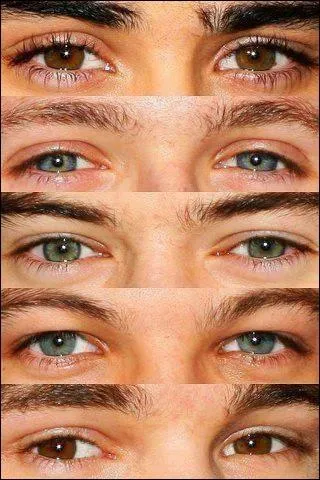 Qui est-ce ? (de haut en bas)