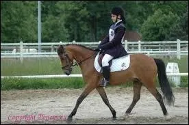 Combien de temps a le trot ?