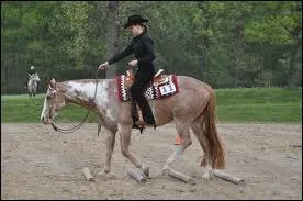 Quelle est la discipline pratique sur cette photo ?