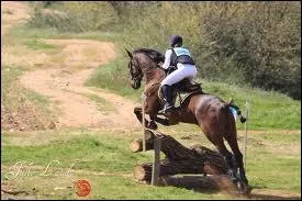 Quelle est la discipline pratique sur cette photo ?