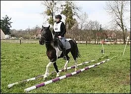 Quelle est la discipline pratique sur cette photo ?