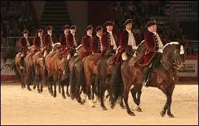 Quelle est la discipline pratique sur cette photo ?