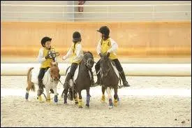 Quelle est la discipline pratique sur cette photo ?