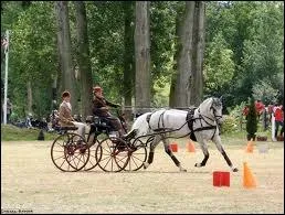 Quelle est la discipline pratique sur cette photo ?