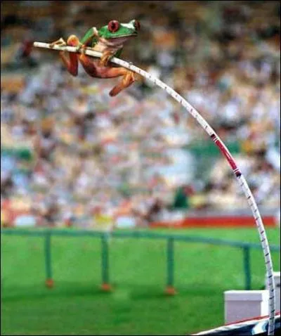 Dans le saut à la perche, quel record Sergueï Bubka détient-il toujours ?