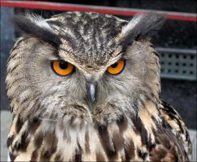 Avec Marielle, des comdiens sur le retour qui ne s'en laissent pas conter :