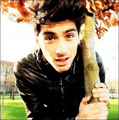 Quel mot est associ  Zayn ?