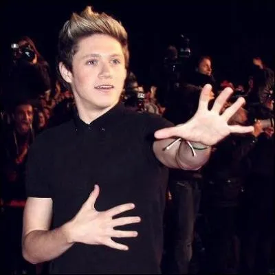 Combien de tatouages a notre Irish Niall ?