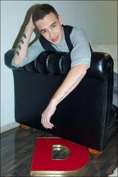 Combien de tatouages a Liam ?