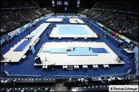 A quel p�le Morgane Detrez et Or�ane Lechenault appartiennent-elles ?