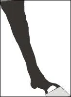 Comment appelle-t-on cette balzane ?