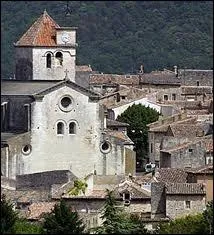 A Saint-Paul-Trois-Chteaux, les habitants portent le gentil ...
