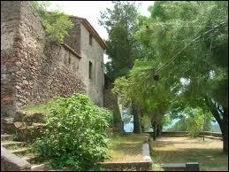 Celle des punks est parfois colore.