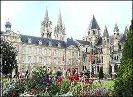 Femelle d'un palmipde