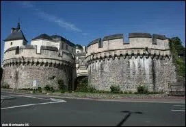 Celles des vampires sont hypertrophies.