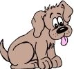 Quiz Animaux