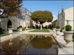 Enlvent les coquilles d'oeufs