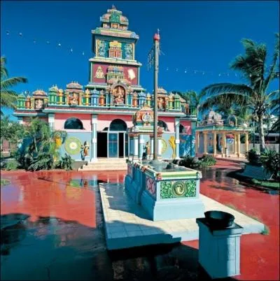 Absorbaient de l'oxygne et rejetaient du gaz cabonique