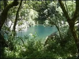 Persvraient (s' -------------------)