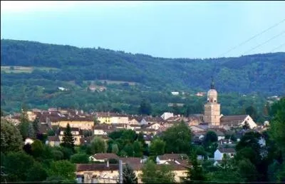 J'arrive de Suisse, je passe dans le Jura et j'arrive  Saint-Amour, si il faut que je demande quelque chose  un habitant de la ville, je parlerais  un ... ... .