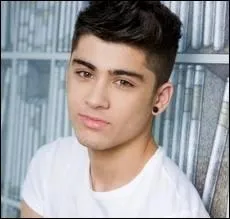 Quelle est la chanson prfre de Zayn sur l'album   Take Me Home   ?