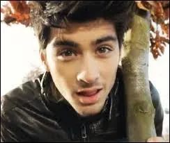 Quand Zayn Javadd Malik est-il n et o ?