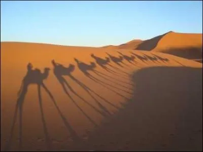  Un Th au Sahara , avec comme principaux acteurs :