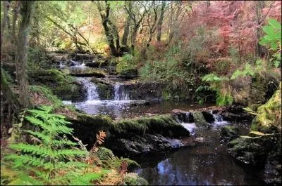 Situe en Bretagne, Brocliande est aussi appele la fort de Paimpont et aurait, dit-on, servi de refuge  Merlin. Dans quel dpartement breton se situe-t-elle ?
