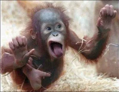 On me reconnait comme le nez au milieu de la figure !