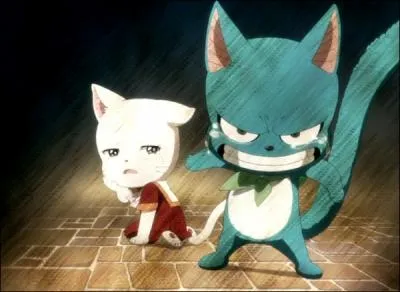 De quel couple s'agit-il ?