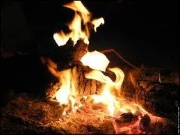 Je me ferai nouvelle pour que le feu reprenne ...