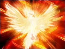 A son front brillant de mille feux ...