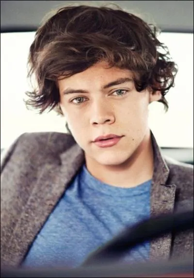 Laquelle n'est pas une ex-copine de Harry ?