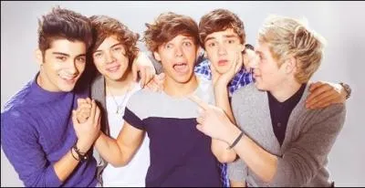 Lequel a dit  Je ne suis pas le mme sans Zayn  ?